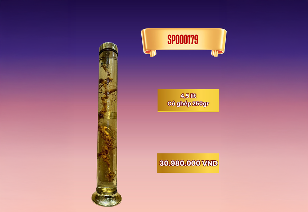 Rượu sâm bình lớn SP000715