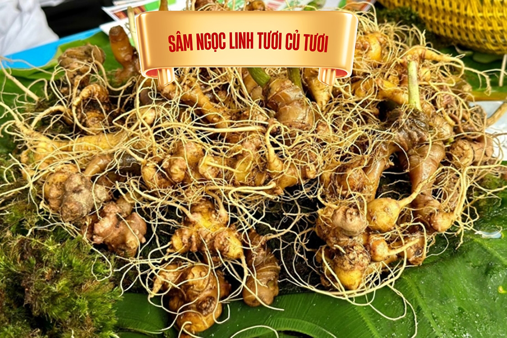 Sâm tươi nguyên củ loại 4